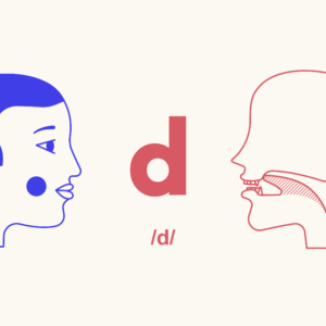 Pronunciation: T and D sounds